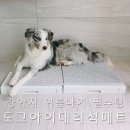 마켓홈스내방주 | 강아지 대리석 쿨매트 내돈내산 실사용후기