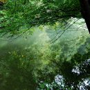 풍천식당 이미지