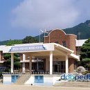 진도초등학교 Daum카페