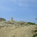 황자비어 이미지