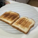 이승재동물병원 | 거의 한달만에 일상털기 (스압주의