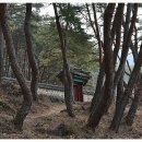 천은사 부도전