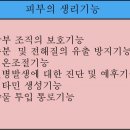경희피레토한의원 이미지