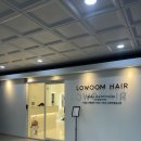 올리브영 골든스퀘어가맹점 | 원주 미용실 로움헤어 원주혁신점 겨울 푸석한 머릿결 살려준 아윤채 풀케어 모발 클리닉 후기