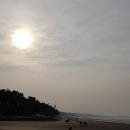 몽산포항 이미지