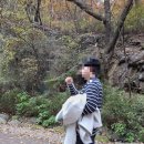 990 | 인터넷사주 사이트 사주아이 990원 사주풀이 후기