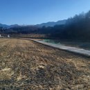 수안보면사무소 이미지