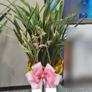산천플라워 | [영등포 동양란] 승진·취임 축하 선물, 격식 있는 고급 동양란 배달 (여의도/영등포)