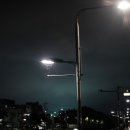 진미커피