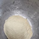 창원역시외고속버스정류소 | 26.03.27 과발효된 식빵, 창원 시외고속버스정류소, 창원산토리니펜션