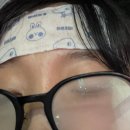 연수원 마무리/대전 야구장 데이트