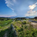 쌤스하우스 이미지