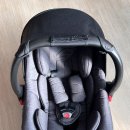 청록세탁 | 신생아 페도라 바구니 카시트 당근 후기 / 분해 / 세탁