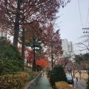 신월로27길 이미지