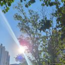 중산회관 이미지