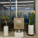 안스 스타일 송우점 | 안스스타일 헤어 포천송우점 여성컷트 포천미용실 내돈내산 후기