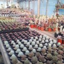 화해농장 이미지