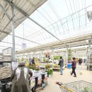 예삐애견 | [용인] 남사 예삐플라워아울렛 방문 후기