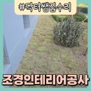 희망나무심기4 | 야외 정원 조경 인테리어 잔디 나무 심기