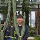 무덕유도관 이미지