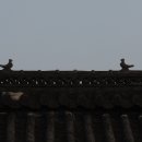 경성대학교박물관 이미지