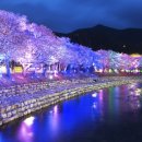 수안보족욕길 이미지