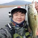 광천천 이미지