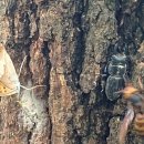 자연-어울림 이미지