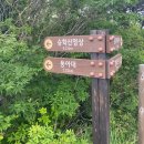하단동178 | 승학산 등산코스, 난이도 쉬움 당리동 코스, 나혼산후기