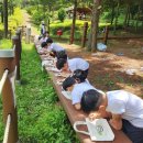 충청북도산림환경연구소 이미지