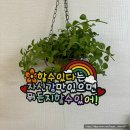 체리베리토퍼