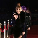 씨엘다솜