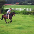 어승생승마장 이미지