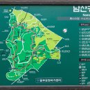 남산꽃화원 이미지