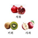 경희식품 이미지