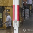 세종명동유리