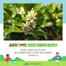 효돈동 재활용 도움센터 이미지