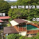 신재민박 네이버블로그