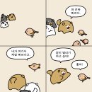 이무진 (LEE MU JIN) - DS '뱁새' Spoiler 이미지