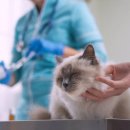 아이힐 동물병원 이미지