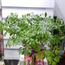 운주농협주유소