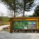 원주산악자전거파크 이미지