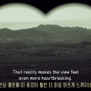 코스모투어 티스토리