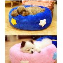 베이비 몽 이미지