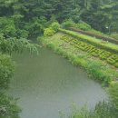 만인산자연휴양림 이미지