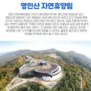 10월12일(토) 초저가여행 현충사+영인수목원+태학산자연휴양림 +점심 한식부페 제공....마감 이미지