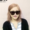 골드독스 이미지