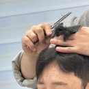 마일맨즈헤어 네이버블로그
