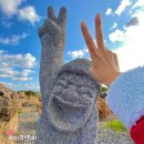 가파초등학교 | 제주 힐링섬 올레길 가파도 배시간 2월 유채꽃