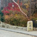 진관사입구 공중화장실 | 북한산 진관사 가을 단풍 구경 • 해 질 무렵 고요함과 타종 소리, 주차 요금 후기